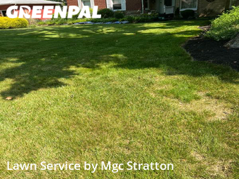 Grass Cut nearby North Olmsted, OH, 