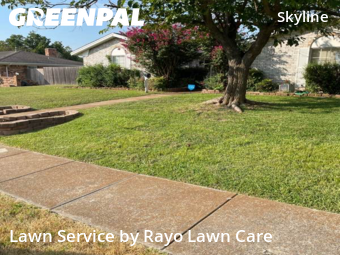 Grass Cut nearby Mesquite, TX, 