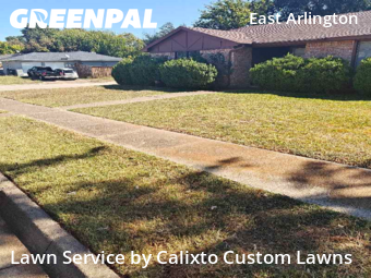 Weed Trimming in Arlington, 76014, Lawn Management by Calixto Custom Lawns, work completed in Oct , 2025