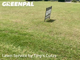 Lawn Cutting in Sparks, 31647, Lawn Work by Tiny's Cutzs , work completed in Nov , 2025