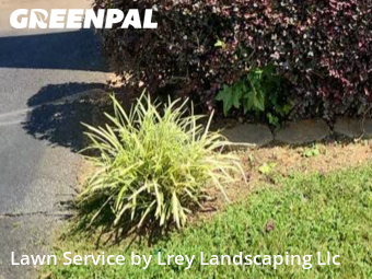 Grass Cuttingin Roswell,30075,Yard Cutting by Lrey Landscaping Llc, work completed in Nov , 2025