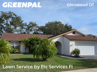Lawn Work in Holiday, 34691, Lawn Upkeep by Etc Services Fl, work completed in Dec , 2025