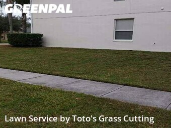 Lawn Mow nearby Ocoee, FL, 