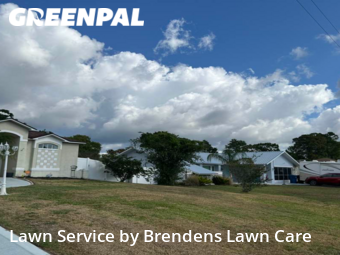 Lawn Cutting nearby Spring Hill, FL, 