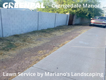 Lawn Service nearby Phoenix, AZ, 