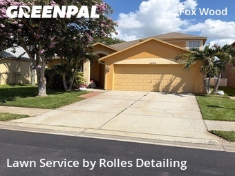 Lawn Mow nearby Trinity, FL, 