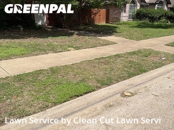 Grass Cut nearby Rowlett, TX, 