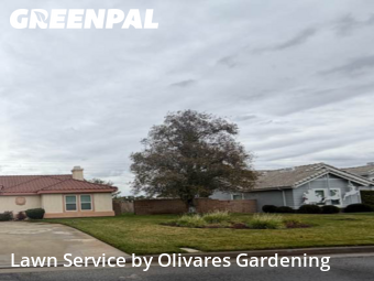 Work completed by grass-cutting-businesses-in-Palmdale-CA