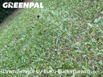 Lawn Care Service nearby Henderson, NC, 