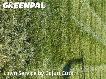 Lawn Mowing Service nearby Murfreesboro, TN, 