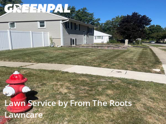 Yard Mowing nearby Streamwood, IL, 