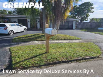 Grass Cuttingin Sunrise,33322,Lawn Cut by Deluxe Services By A, work completed in Jun , 2026