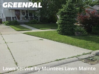 Lawn Cutting nearby Southgate, MI, 