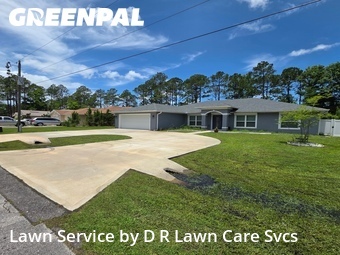 Grass Cut nearby Palm Coast, FL, 