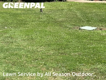 Lawn Mowing Service nearby Opelika, AL, 