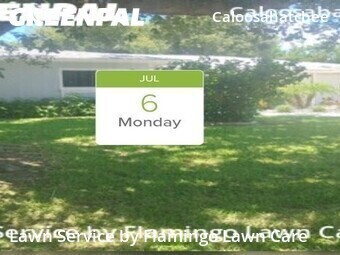Lawn Mow nearby Cape Coral, FL, 