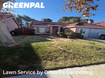 Affordable Landscaping In Palmdale,93551,Landscape Design by Olivares Gardening , work completed in Dec , 2025