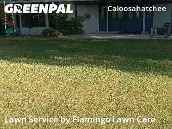 Lawn Care nearby Cape Coral, FL, 