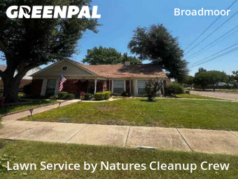 Grass Cut nearby Mesquite, TX, 