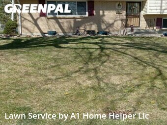 Grass Cut nearby Lakewood, CO, 