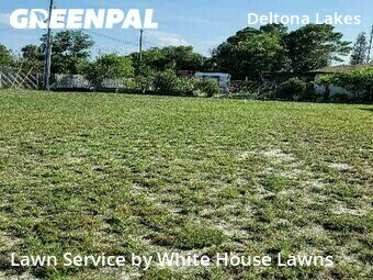 Grass Cutting nearby Deltona, FL, 