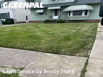 Grass Cutting nearby Cleveland, OH, 