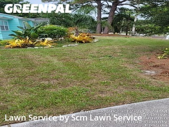 Lawn Care Service nearby Dunedin, FL, 