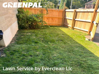Yard Grooming in Lexington, 40502, Lawn Cutting by Everclean Llc, work completed in Nov , 2025