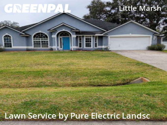 Grass Cut nearby Jacksonville, FL, 