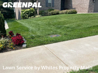 Yard Cutting nearby Tennessee, TN, 