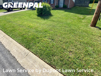 Grass Cut nearby Clarksville, TN, 