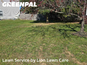 Grass Cut nearby Commercial Point, OH, 