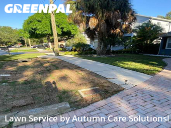 Lawn Care nearby Tampa, FL, 