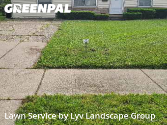 Grass Cutting nearby Roseville, MI, 