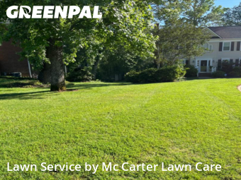 Lawn Cutting nearby Taylors, SC, 