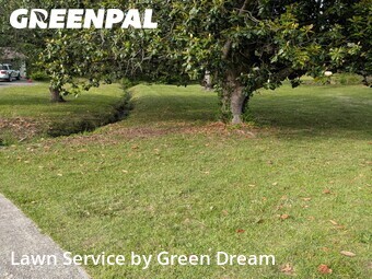 Lawn Cut nearby Gadsden, AL, 
