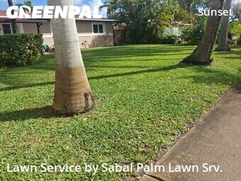 Lawn Mowing Service nearby Fort Lauderdale, FL, 
