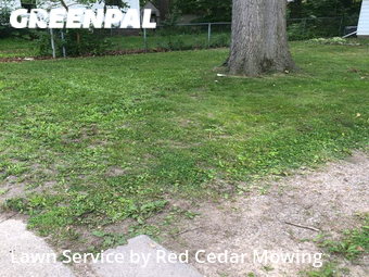 Lawn Cutting nearby Lansing, MI, 