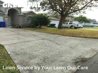 Lawn Cut nearby Lakeland, FL, 