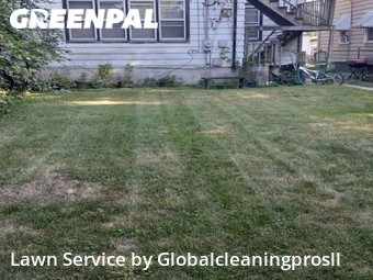 Lawn Care nearby Chicago, IL, 
