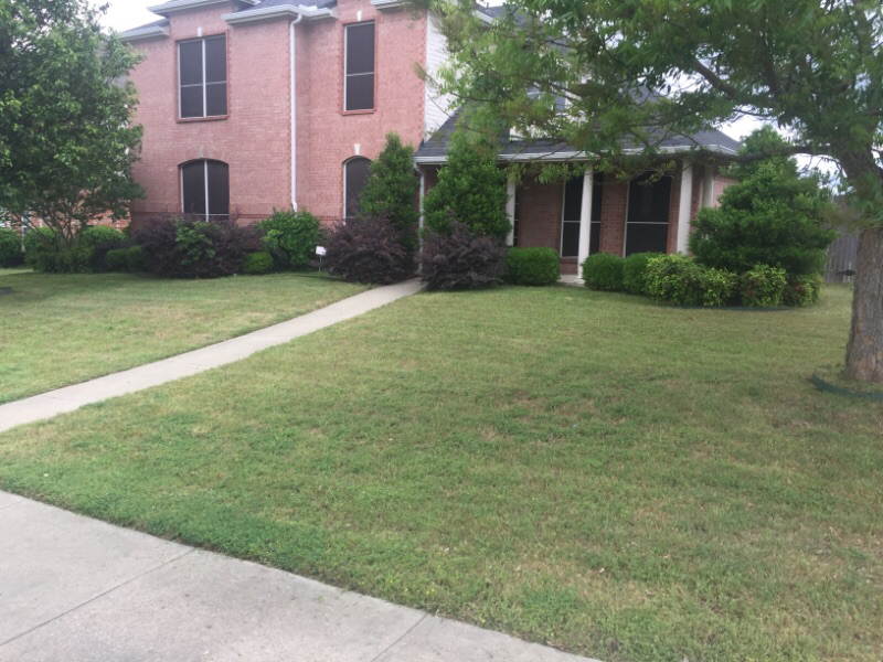 Lawn Care Service in Mansfield, TX, 76140