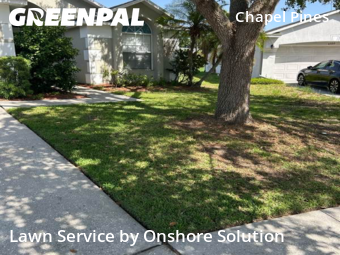 Lawn Mowing nearby Wesley Chapel, FL, 