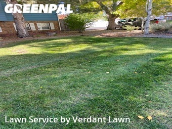 Lawn Mowing Service nearby Loveland, CO, 