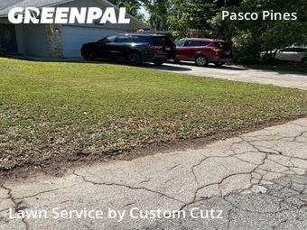 Lawn Care nearby Holiday, FL, 