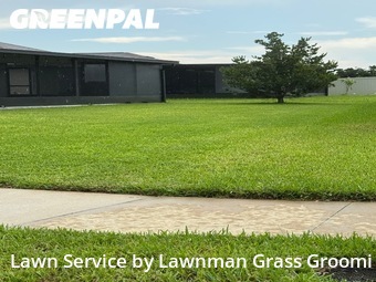 Grass Cut nearby Sun City Center, FL, 