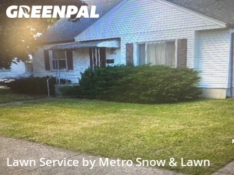 Lawn mowed in Roseville, 48066