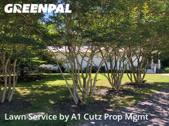 Yard Mowing nearby Centreville, DE, 