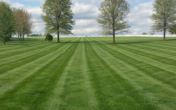 Work Image 1