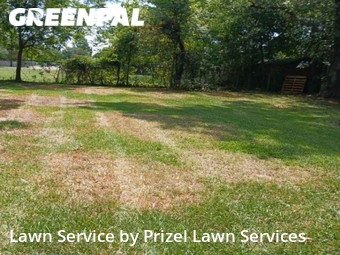 Grass Cut nearby Pasadena, TX, 