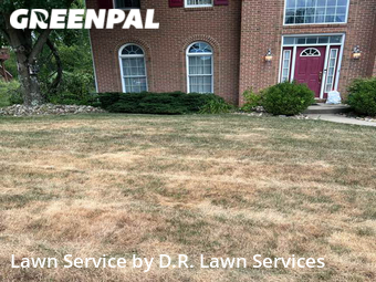 Lawn Mow nearby Pittsburgh, PA, 